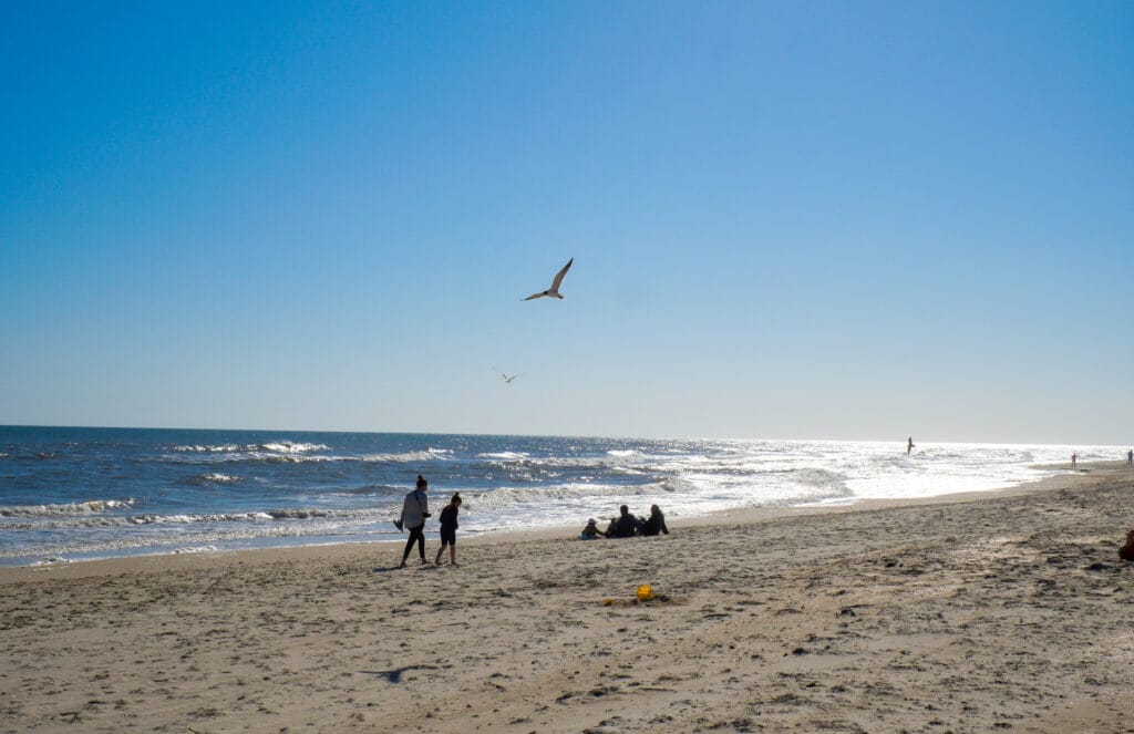 Beach at St. George Island, Florida during a sunny blue sky day, with a few people walking around, and a seagull flying over the water in the distance