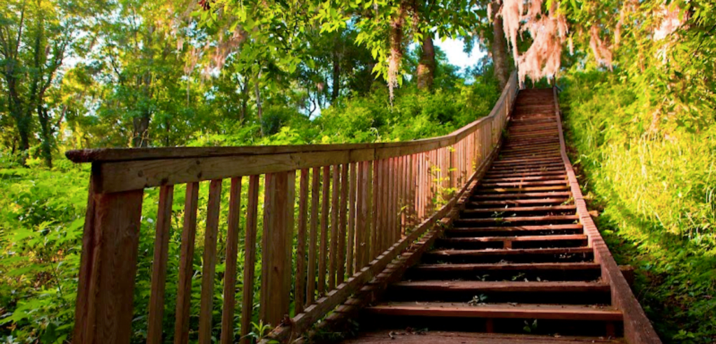 Picture of wooden stairs going up at Lake Jackson Mounds State Park.