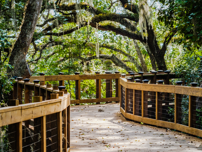 JR Alford Greenway cropped